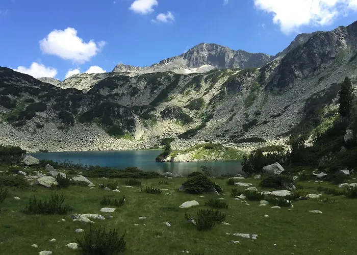 Deluxe In Belvedere With Terrace Apartamento *