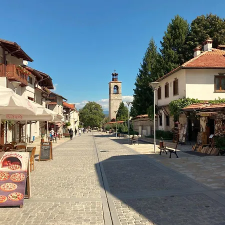 Deluxe In Belvedere With Terrace * بانسكو